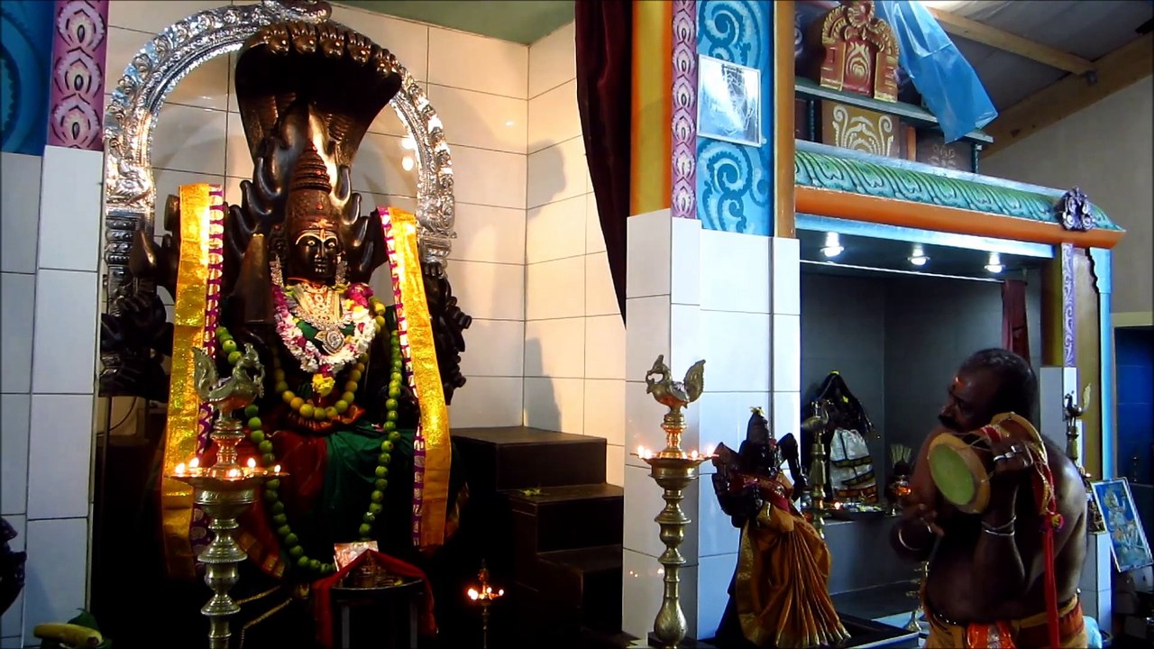 udukku isai  M.R. Pannerselvam ohm navasakthi nayaki ampal alayam Münster Germany