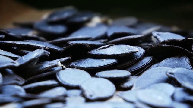 Como secar y germinar semillas de calabaza o zapallo