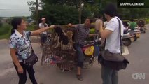 ✦CHINA DOG MEAT FESTIVAL AT YULIN SPARKS OUTRAGE✦
