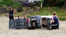 ChimCheree,Eret, Jambalaya, and Maisy released by the Pacific Marine Mammal Center April 25