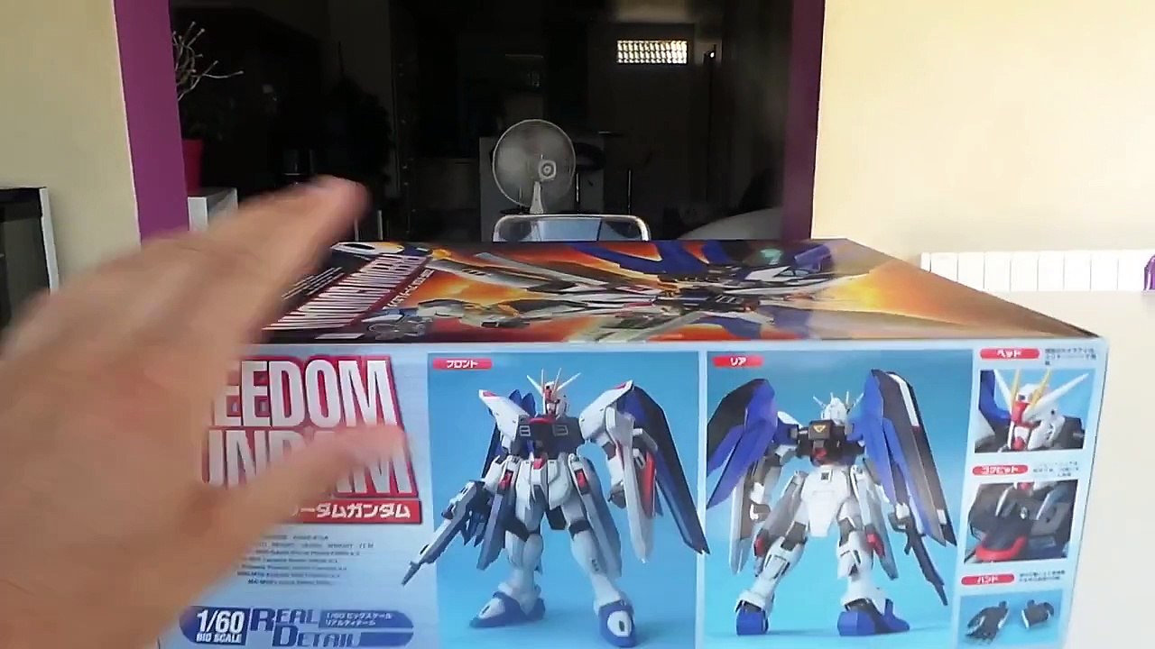 Freedom gundam big scale 1/60 (fr)