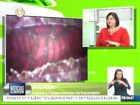 ¿Quiénes están en riesgo de contraer Malaria?