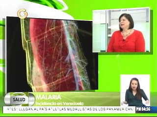 Situación sanitaria ha hecho que no se frene la Malaria en Venezuela