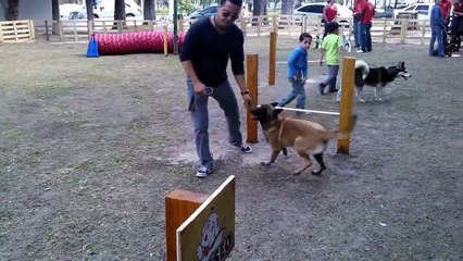 Parque tematico para perros en zapopan