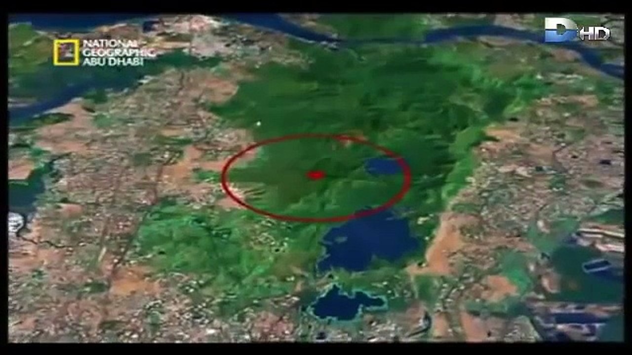 ‫‫وثائقي  القطط القاتلة‬‎‬‎