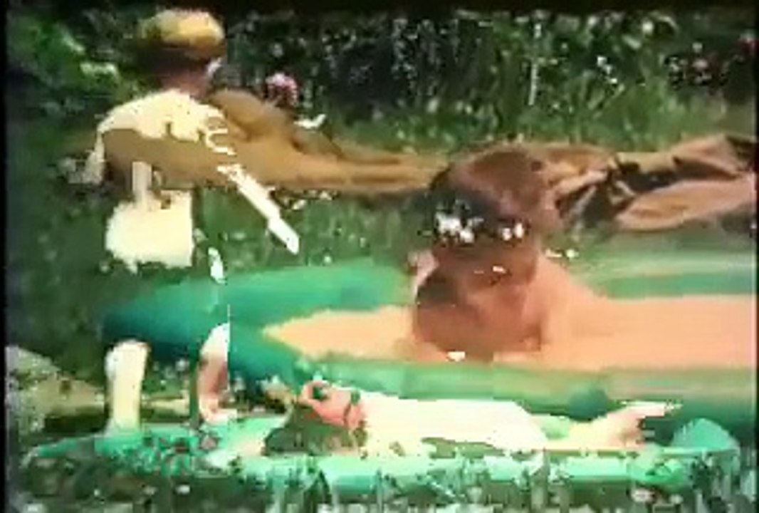 Summer's Cauldron