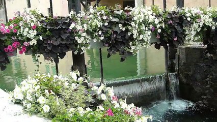 ANNECY .....une valse des fleurs  ** haute-Savoie france **