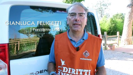 Non lasciamo solo nessuno