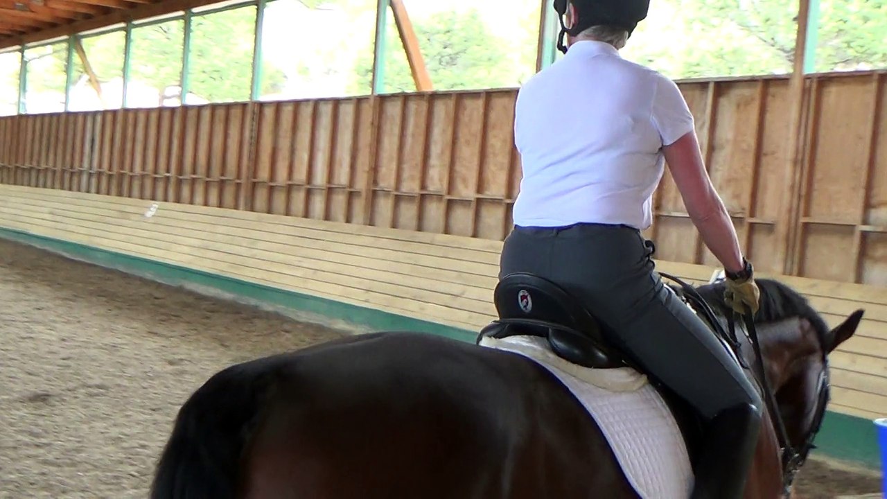 May 17, 2015 Mary Wanless clinic, riding Bonito, 3rd video