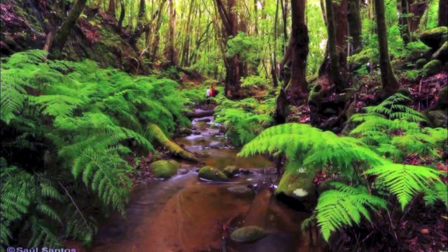 Paisajes de Islas Canarias