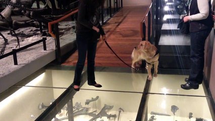 Hope walks on a glass floor 1