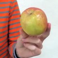 You've Been Eating Apples Wrong Your Entire Life - How You Should Eat an Apple