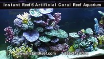 Fish Aquarium Decor Algae Cleaning Control, How to clean Aquarium Algae off Artificial Coral Reefs
