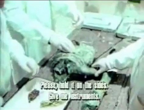 Autopsia Alien Ufo Crash Russia 1969
