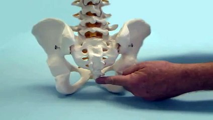 Relaxobak Orthopedic Cushions Coccyx