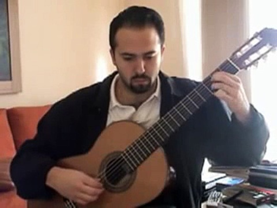 The Beatles "The Fool On The Hill"