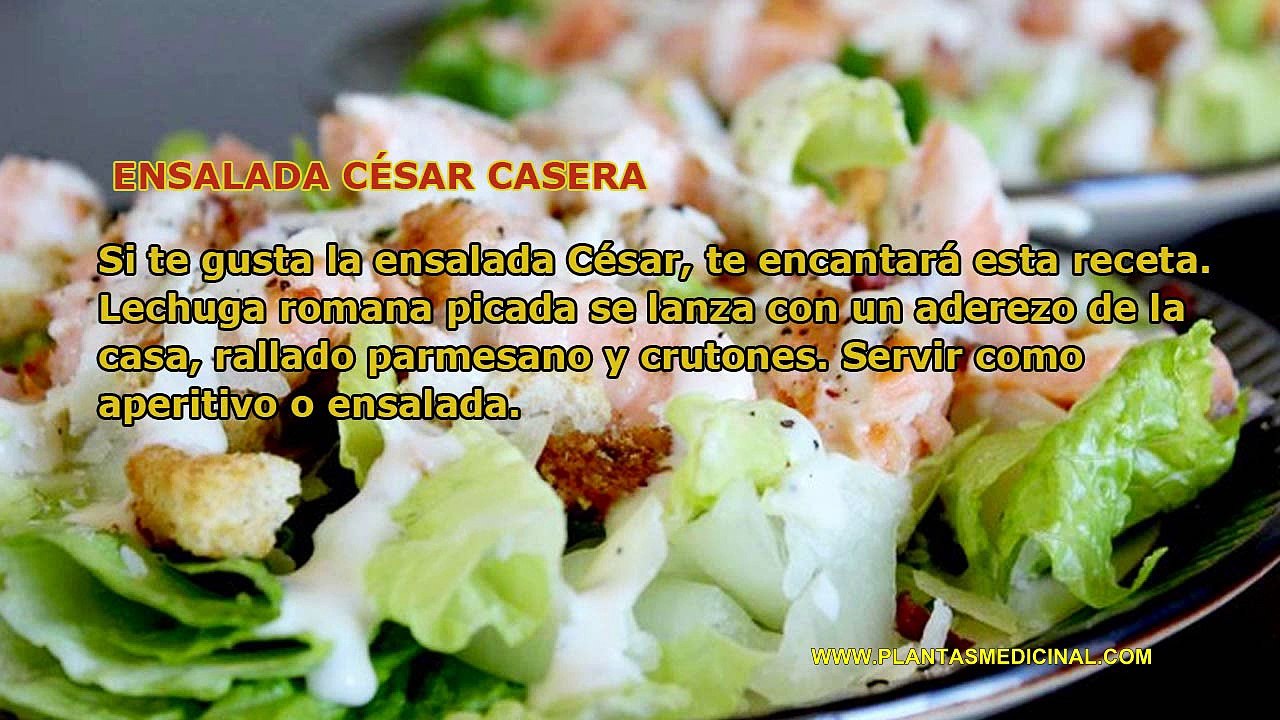 Tipos de Ensalada