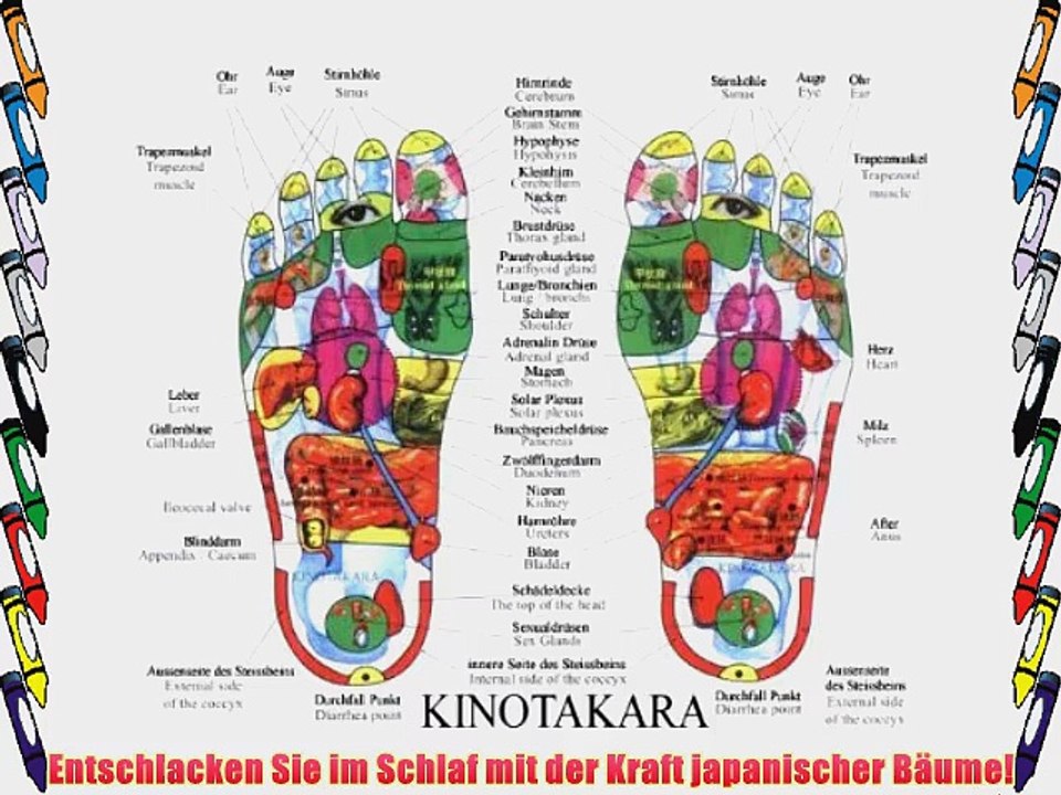 Kinotakara Baumessigpflaster aus Japan - Schmerz Pflaster - Entschlacken im Schlaf: 2 Paket