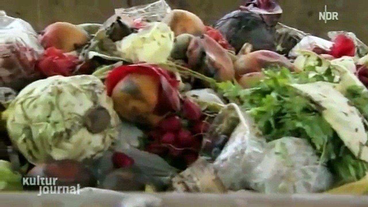 Schockierende Doku: "Taste the Waste" - Kulturjournal - NDR