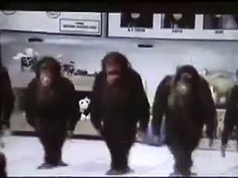 Riverdance Monkeys car driving monkey