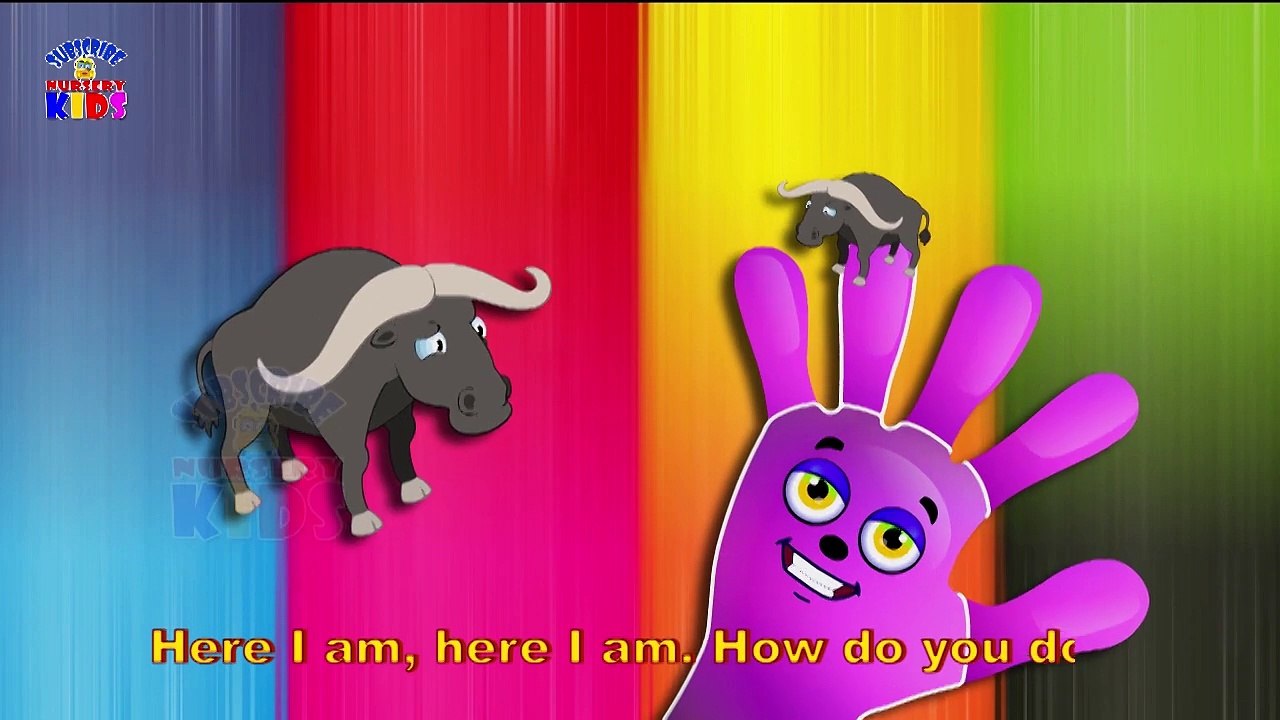Finger Family Collection - 7 Finger Family Songs - Daddy Finger Nursery Rhymes