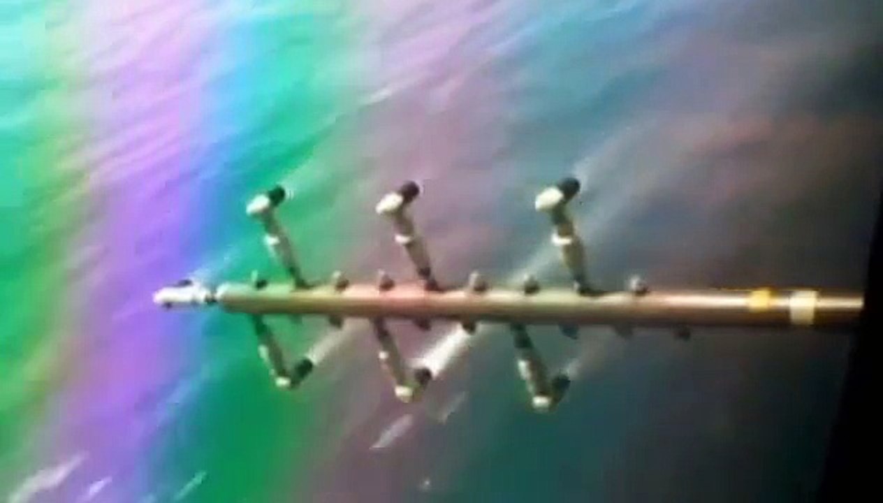 The BP Deepwater Disaster