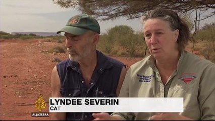 Australia's wild camel farmers seek new cull