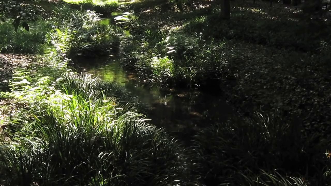 おぼくり〜ええうみ　朝崎郁恵  Obokuri - Eeumi  / Asazaki Ikue