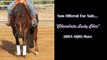 Chocolate Lady Chic Reining Horse For Sale by Dan Huss
