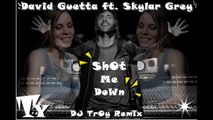 David Guetta ft. Skylar Grey - Shot Me Down (AviaD BalestrA Remix)