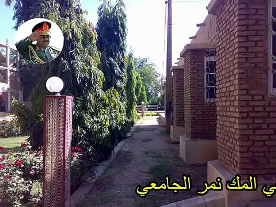 شندي المك نمر