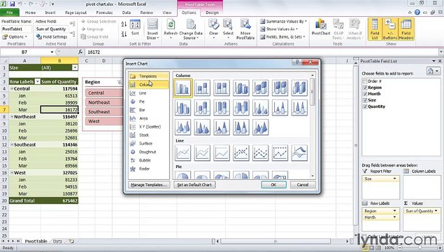 MS Excell Creating and modifying a PivotChart