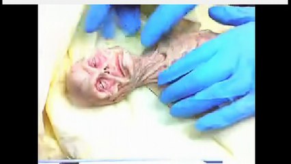 Unveiling the Hidden Types of Nephilim Revealed by Scientists 🧬