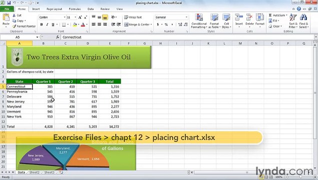 MS Excell Placing Excel charts into other Office applications