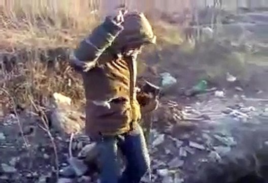 TIGANI DIN UNGHENI CAUTA FIER