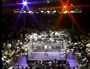 The Road Warriors vs The Freebirds (Cage Match)