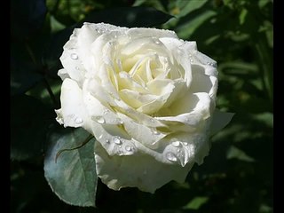 depeche mode - everything counts (1984)