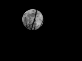 InVersos: Valter Guerreiro - A Lua