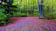 Mondeaux Flowage, Eastwood Campground, Chequamegon-Nicolet National Forest