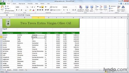 MS Excell Setting Excel options