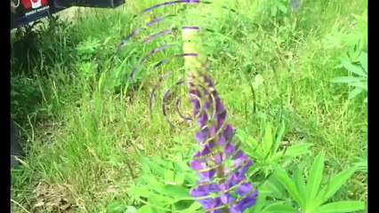 Lean On Me|| Just Tasha|| Music Video|| BL MVC|| Col 0.3K MVC