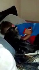 Un chat très content de revoir son meilleur copain humain!