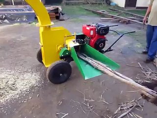 Picadora de pasto o caña Tiendagro