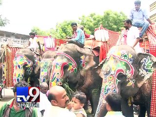 Its a 'lunch time' for elephants now! - Tv9 Gujarati