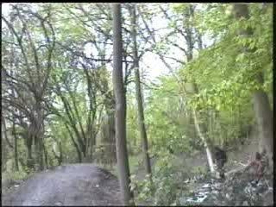 Chute de Greg