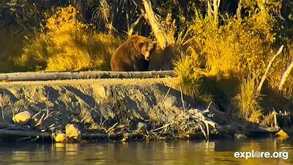 Beautiful Alone.  "Sittin on the Dock of the Bay"