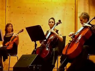 Richard Clayderman - Hungarian Virtuosi Koncert - Lisztcentrum Raiding Austria 1