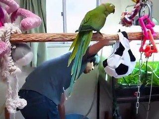 ★ローズちん孤軍奮闘？（１３年３月９日）