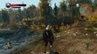 The Witcher 3: Best WTF moment ever