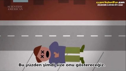 Öldükten Sonra Toprağın Altındaki Bedenimizde Olan Bitenin Hikayesi